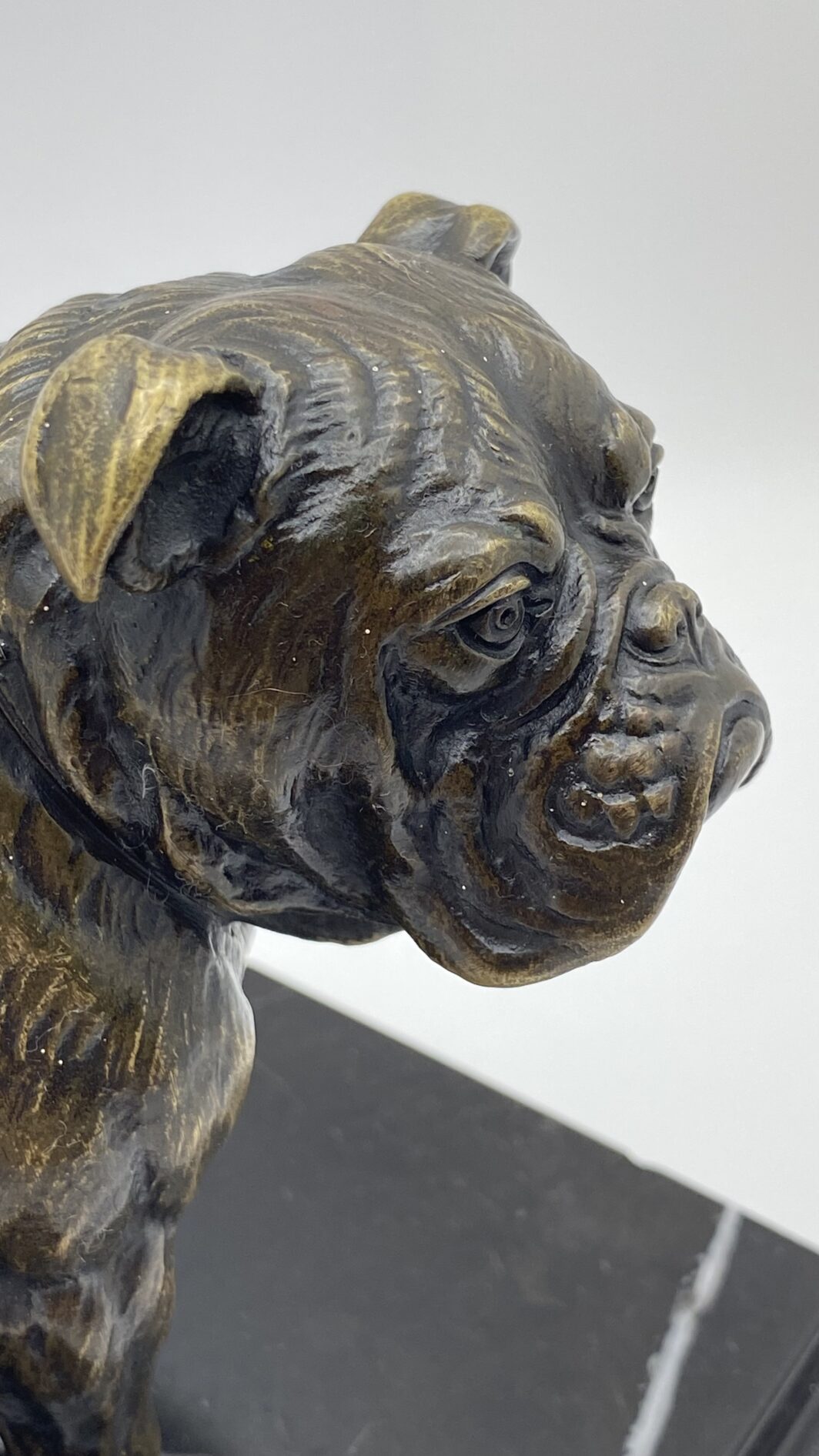 SCULTURA IN BRONZO BULLDOG XIX SECOLO – MANIFATTURA CELSA, BASE IN MARMO NERO - immagine 2